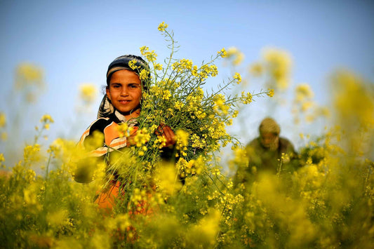 Springtime in Palestine: Flowers, Food and Weather - PaliRoots