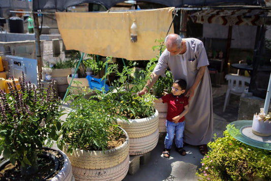 5 Essential Herbs Found in Palestinian Teas - PaliRoots