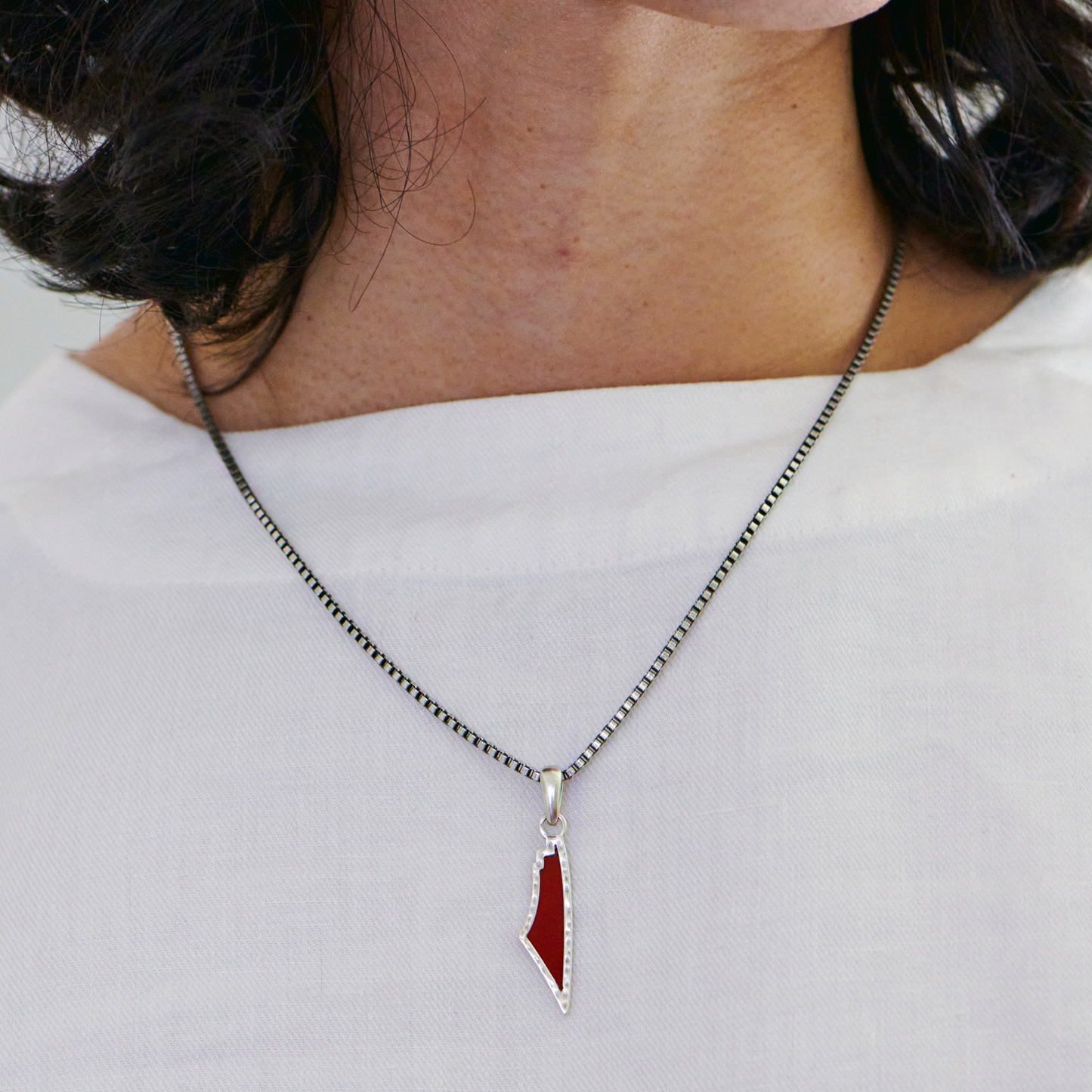 Red Agate Stone Map of Palestine Necklace Silver