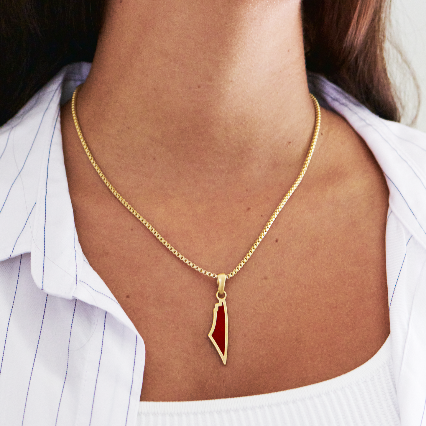 Red Agate Stone Map of Palestine Necklace Gold